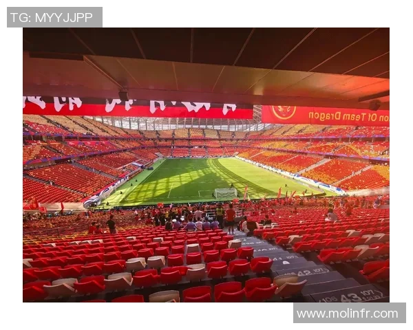 探求足球的魅力与激情探索球场背后的故事与文化